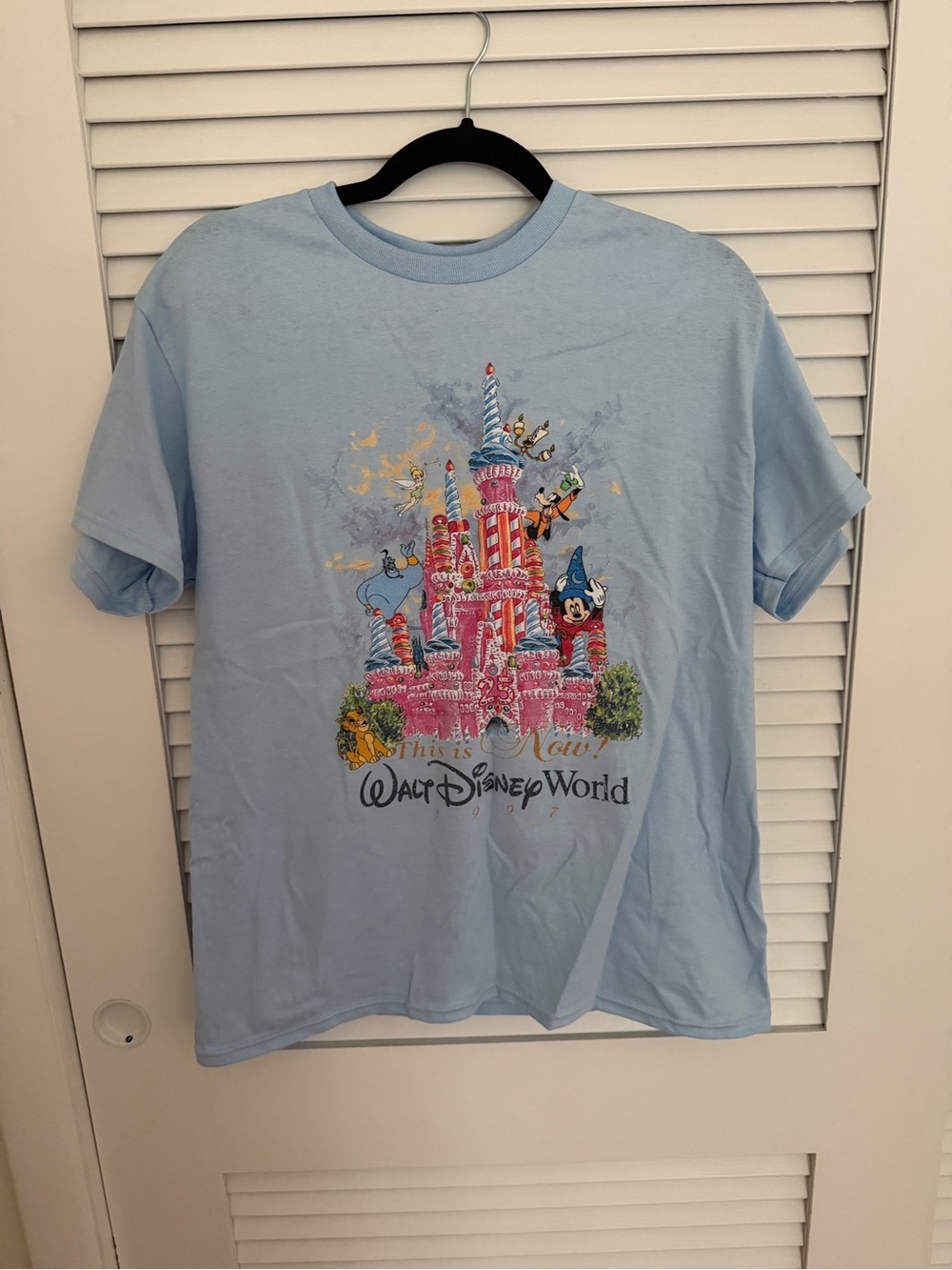 Gildan Light Blue Graphic T-Shirt